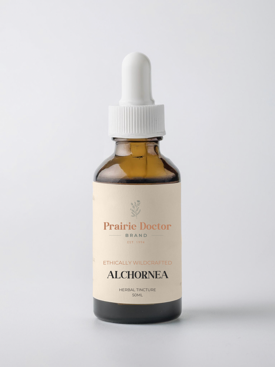 Our Alchornea Leaf tincture is thoughtfully crafted using organically grown, sustainably harvested Alchornea leaves. Traditionally used in African and South American herbal medicine, Alchornea is valued for its health supporting properties.