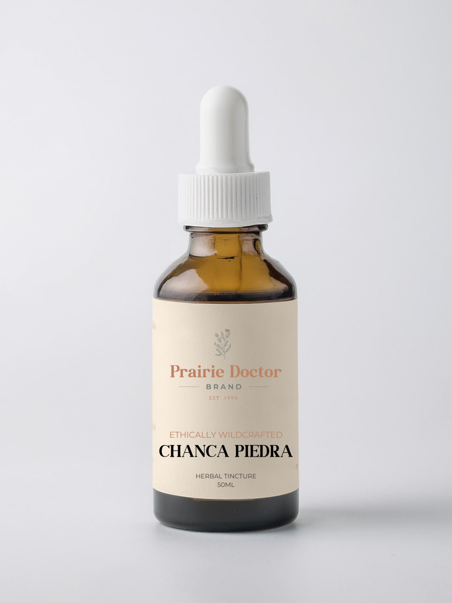 Our Chanca Piedra Herbal Tincture is handcrafted using  ethically wildcrafted Chanca Piedra. Chanca Piedra is a powerful tropical herb traditionally used in South American and Ayurvedic medicine. 