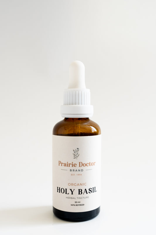 Our organic Holy Basil (Tulsi Krishna) herbal tincture is crafted using organic, sustainably sourced Holy Basil herb.  Holy Basil has a long history of use in Ayurveda to help relieve coughs, colds and respiratory conditions. Holy Basil is also known to support digestion and as an adaptogenic herb that can promote energy and ease stress.
