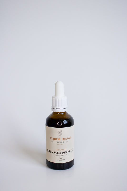 Our organic Echinacea Purpurea herbal tincture is crafted using organic, sustainably sourced Echinacea Purpurea roots and flowers.  Echinacea Purpurea is known for helping to relieve colds, flus and respiratory conditions as well as urinary tract infections.